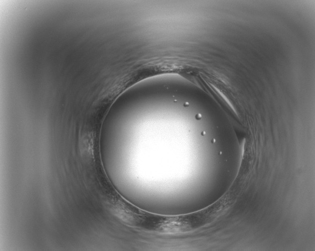 X0000054450315200508051932