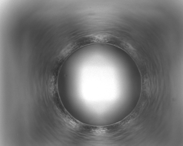 X0000054450318200508051931