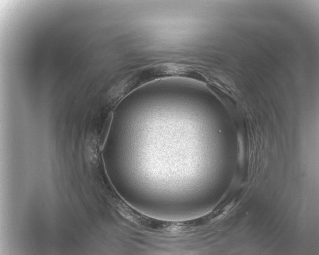 X0000054450325200508051931