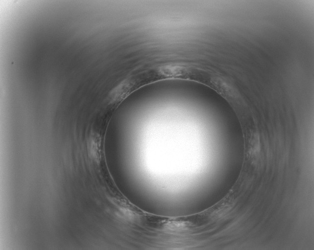 X0000054450332200508051931