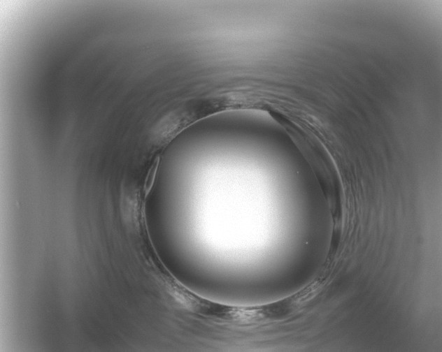 X0000054450333200508051931