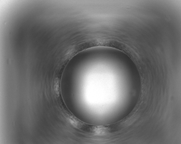 X0000054450336200508051931