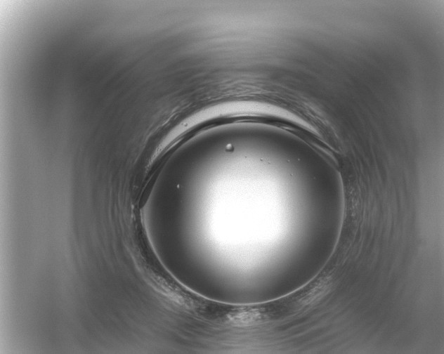 X0000054450362200508051931