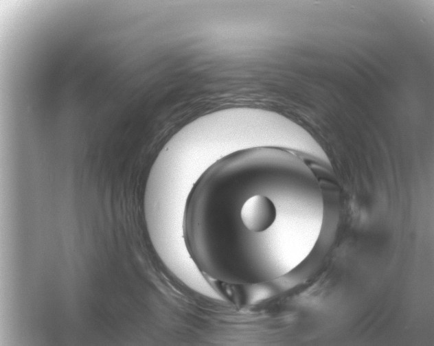 X0000054450380200508051931