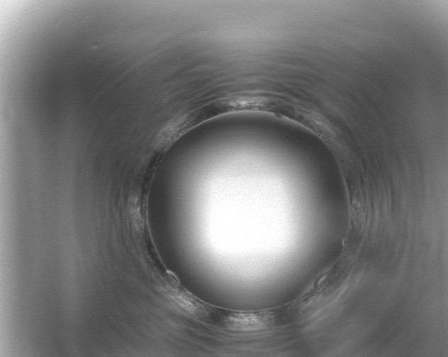 X0000054450381200508051931
