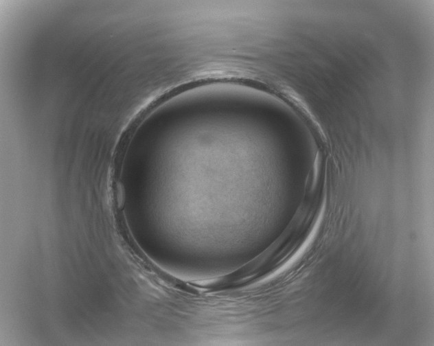 X0000054450387200508051930