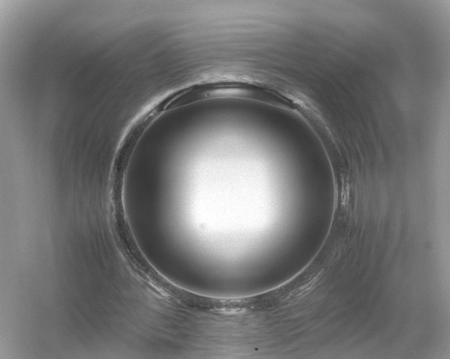 X0000054450388200508051930