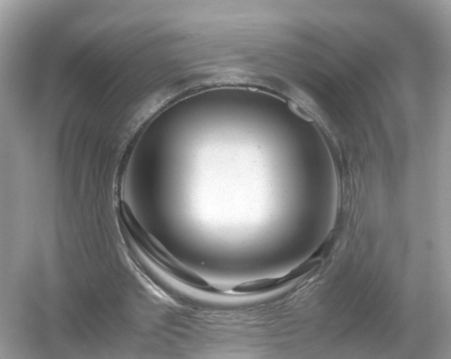 X0000054450389200508051930