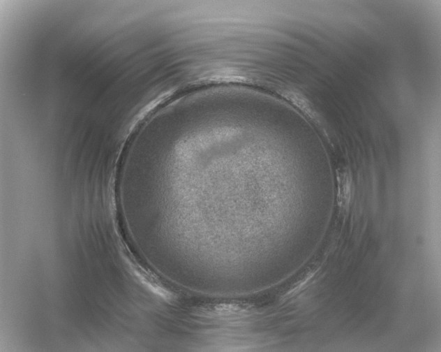 X0000054450390200508051930