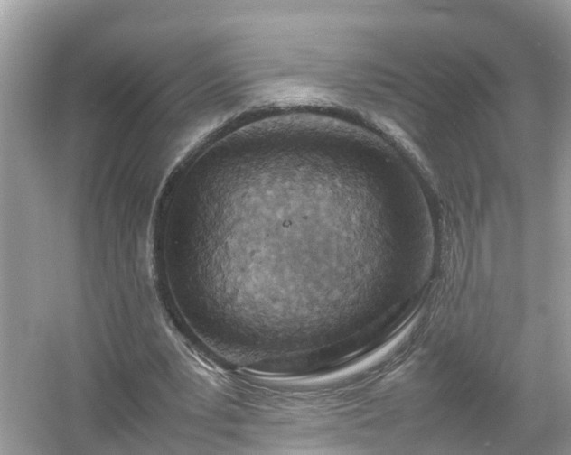 X0000054450391200508051930