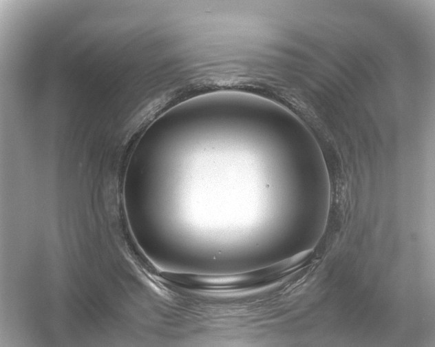 X0000054450397200508051930