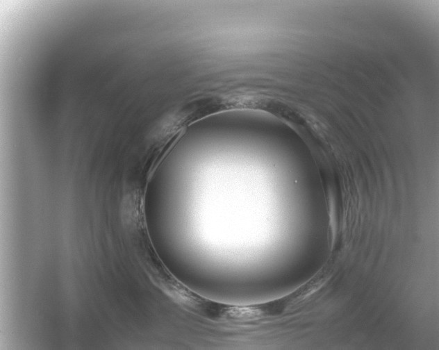 X0000054450429200508051930