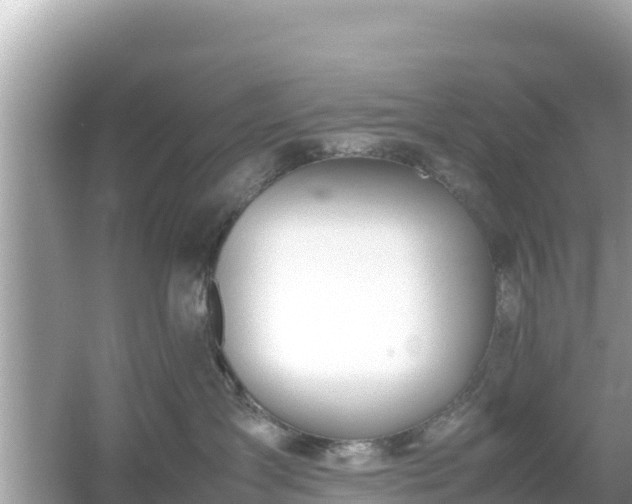 X0000054450431200508051930