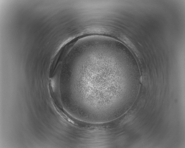 X0000054450434200508051929