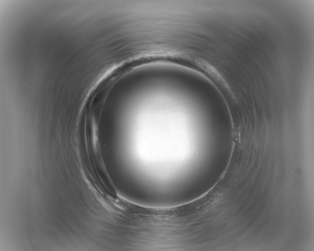 X0000054450436200508051929