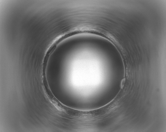 X0000054450438200508051929
