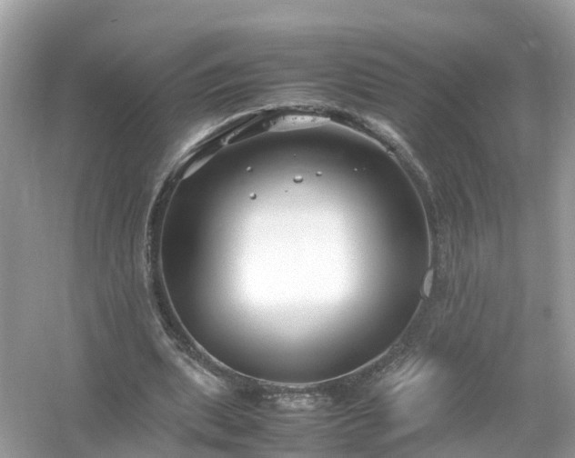 X0000054450439200508051929