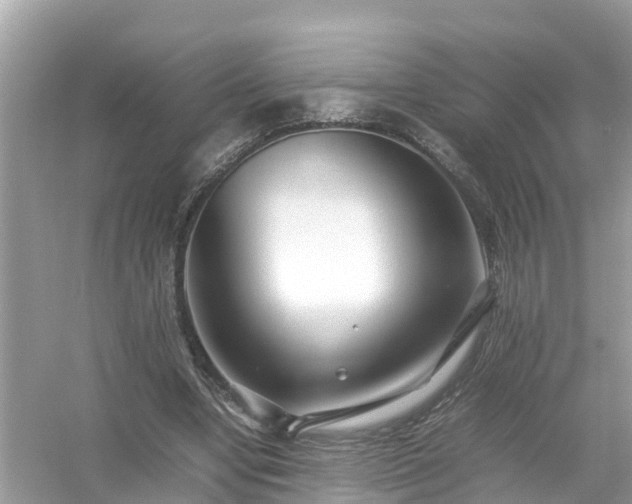 X0000054450442200508051929