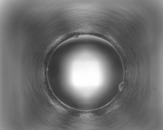 X0000054450446200508051929