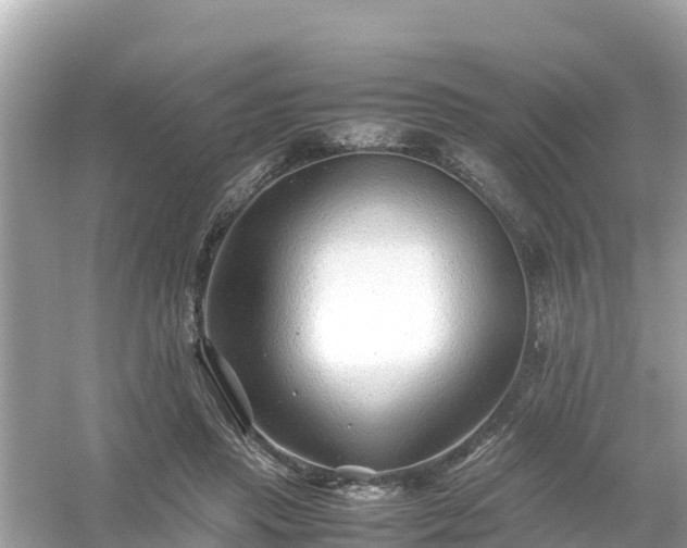 X0000054450453200508051929