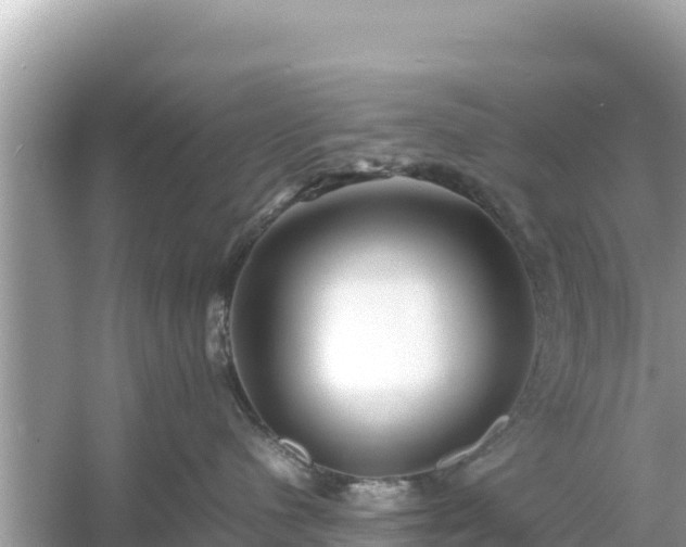 X0000054450480200508051930