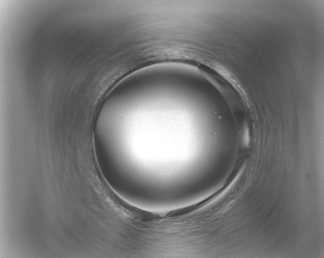 X0000054450481200508051929