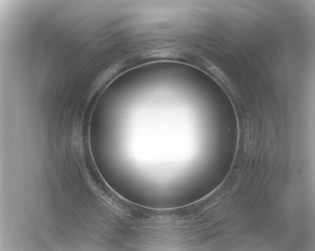 X0000054450482200508051929