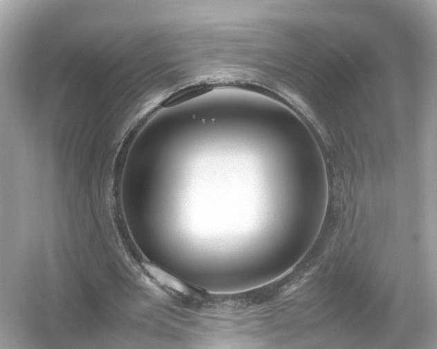 X0000054450485200508051929