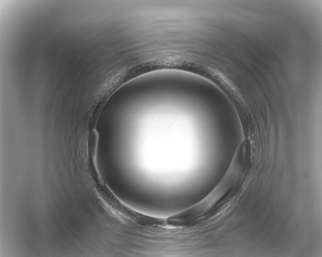 X0000054450493200508051928