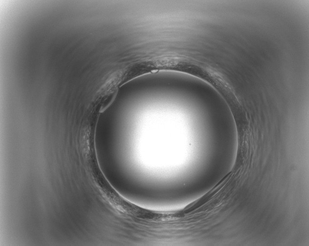 X0000054450501200508051928