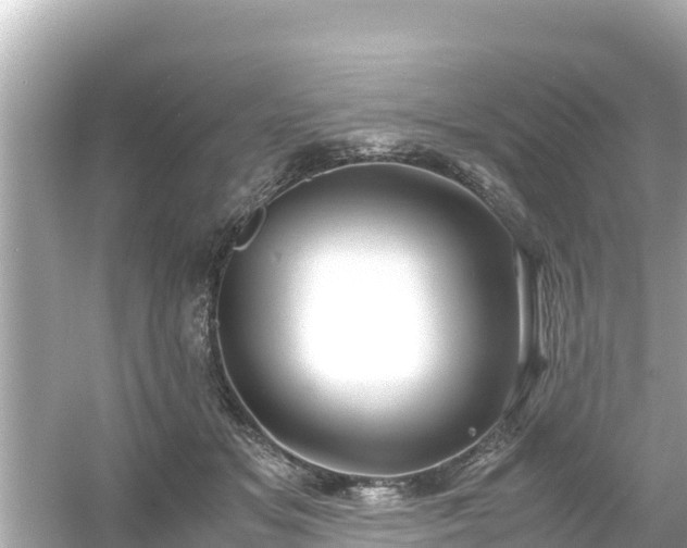X0000054450509200508051928