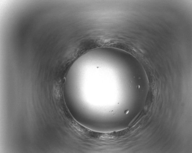 X0000054450515200508051928