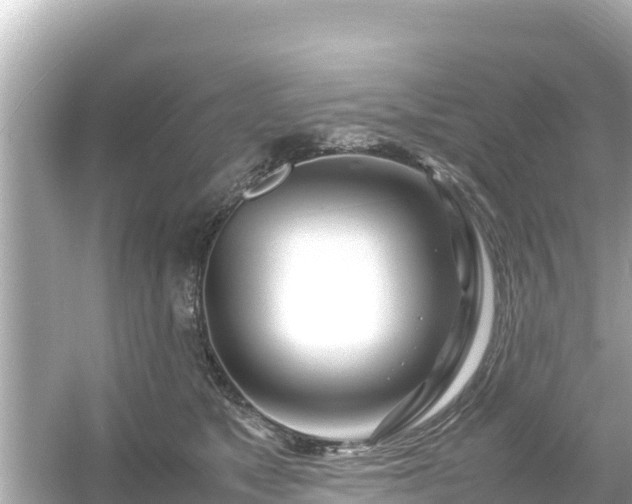 X0000054450517200508051928