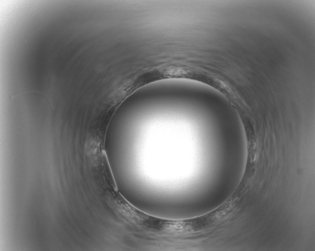X0000054450521200508051928