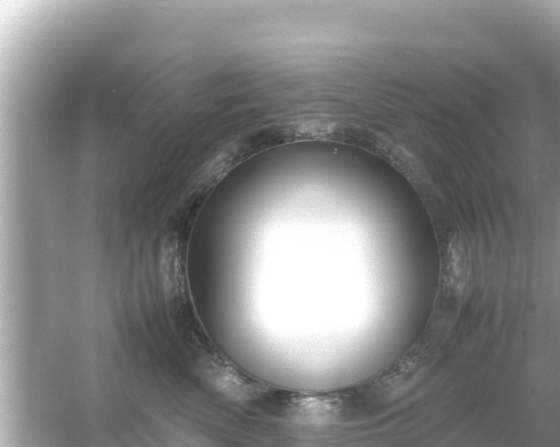 X0000054450522200508051928