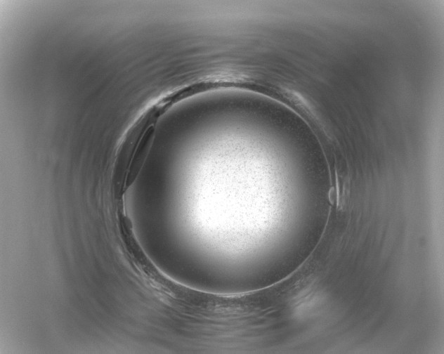 X0000054450531200508051927
