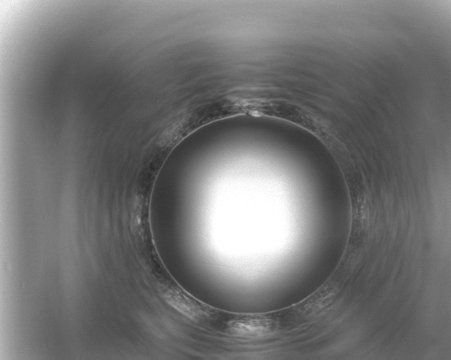 X0000054450567200508051928