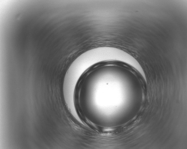 X0000054450570200508051928