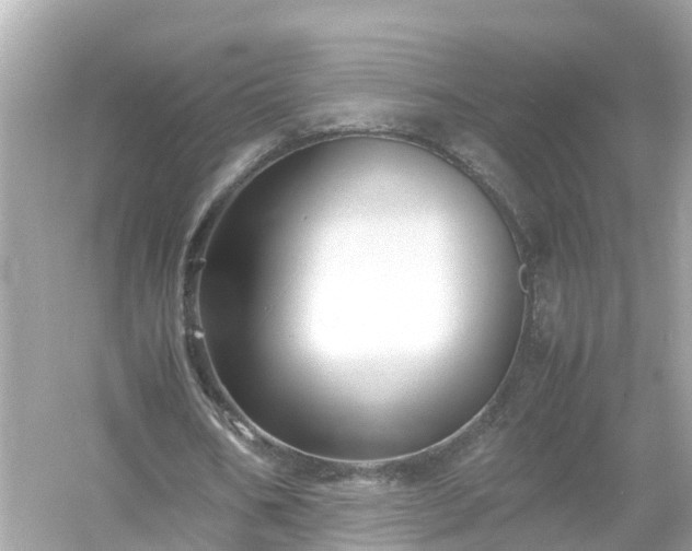 X0000054450578200508051927