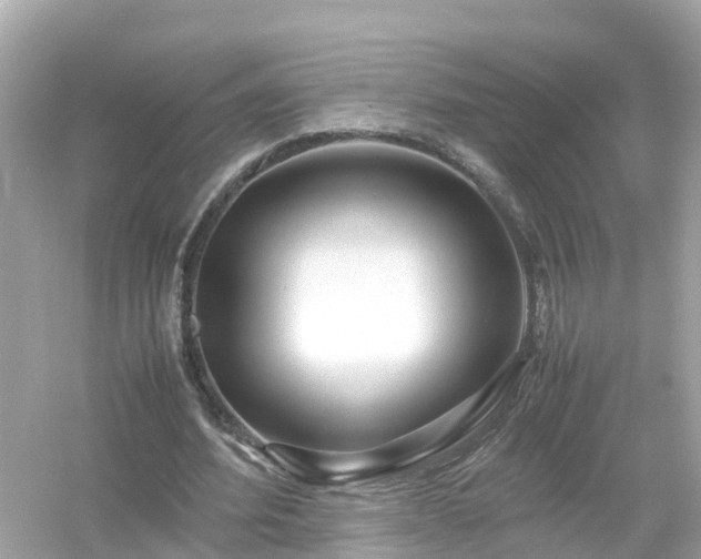 X0000054450580200508051927