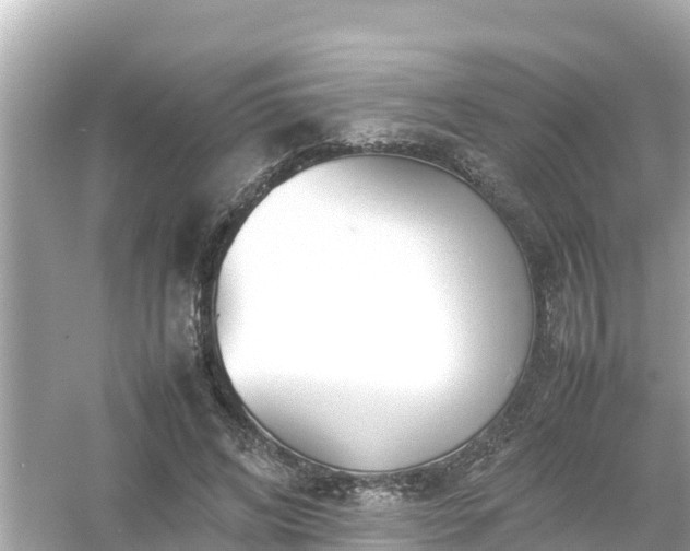 X0000054450592200508051927