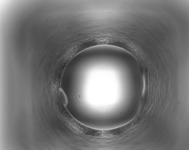 X0000054450601200508051927