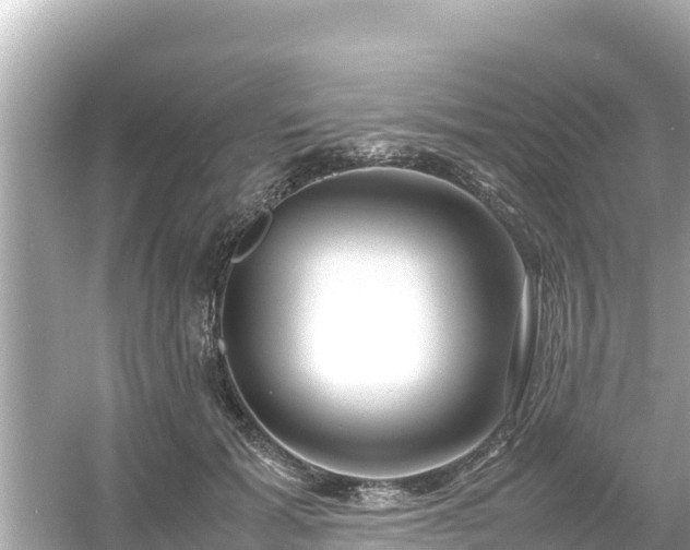 X0000054450605200508051927