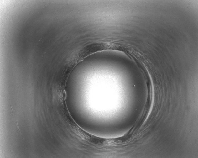 X0000054450613200508051926