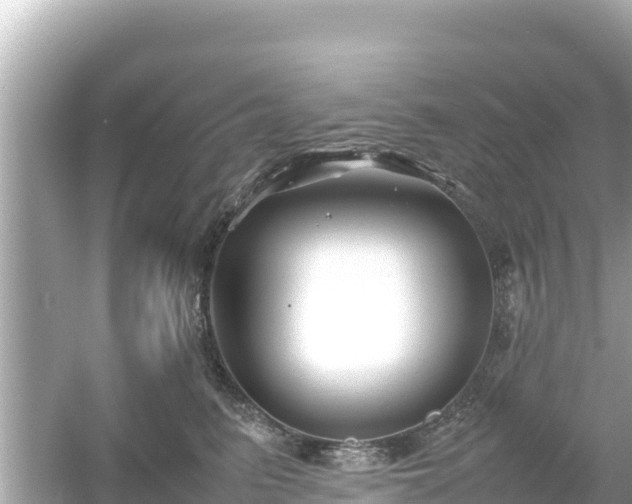 X0000054450615200508051926