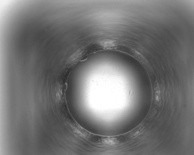 X0000054450618200508051926