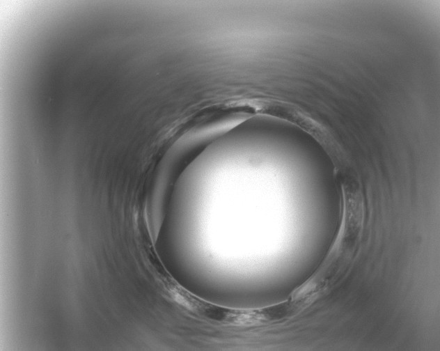 X0000054450621200508051926