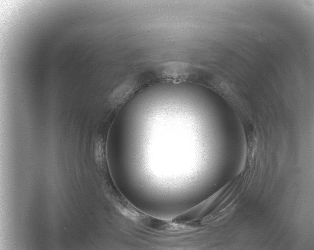 X0000054450623200508051926