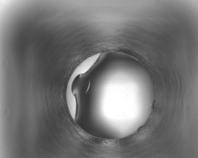 X0000054450624200508051926