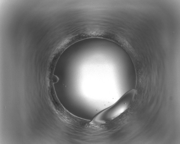 X0000054450635200508051926